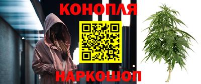 крисы Нарткала