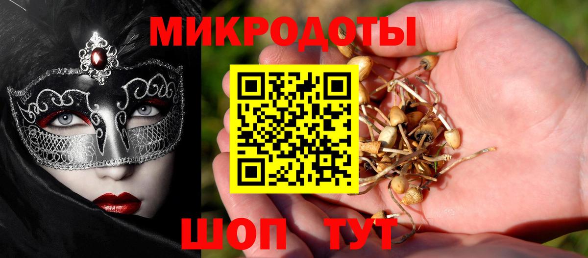 Галлюциногенные грибы GOLDEN TEACHER  Вход с VPN  где можно купить наркотик  Пушкино  Псилоцибиновые грибы Cubensis 